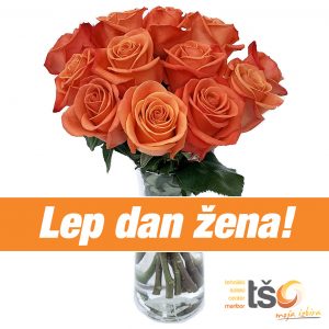 (Slovenian) Lep dan žena